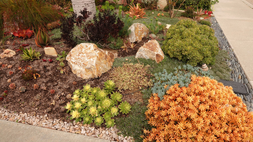 Colorful succulent garden with interesting stone design - proof that drought tolerant landscaping can be beautiful