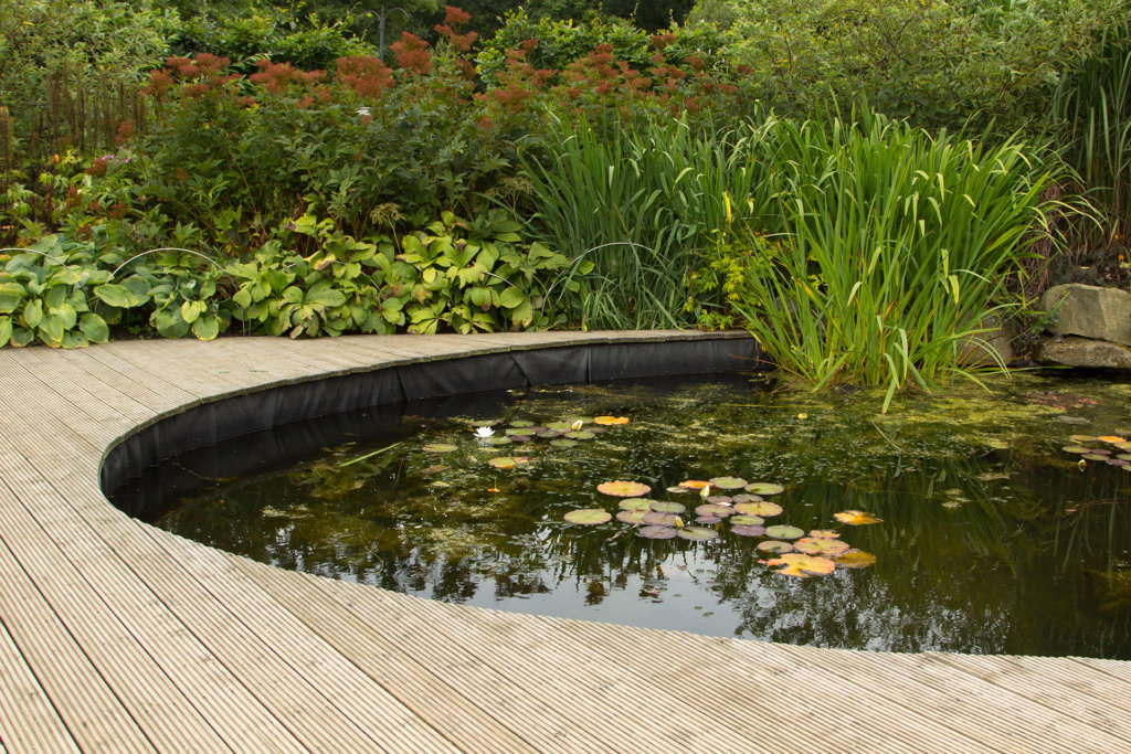 Garden pond with decking