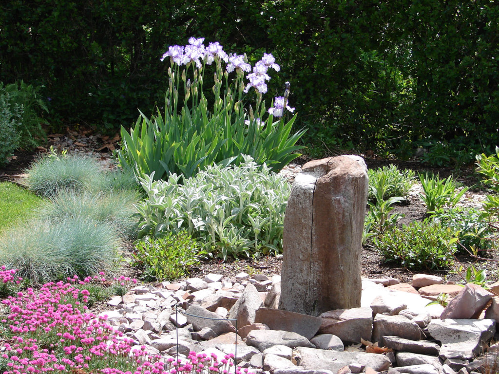 Xeriscape garden, waterwise plants, in landscape, garden
