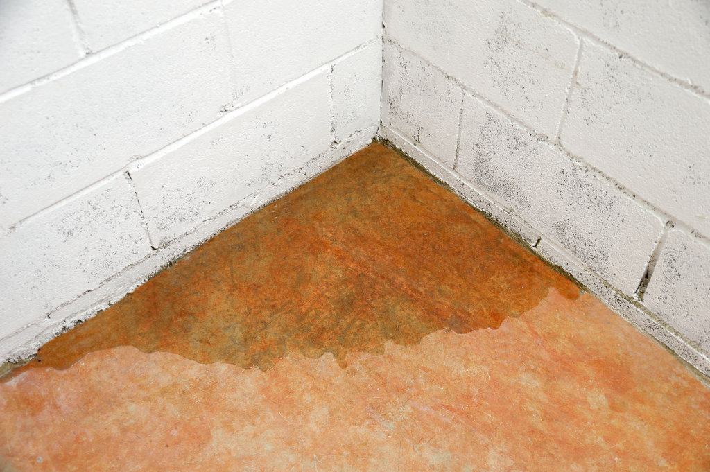 How to Get Rid of the Musty Smell in Your Basement | Hausette